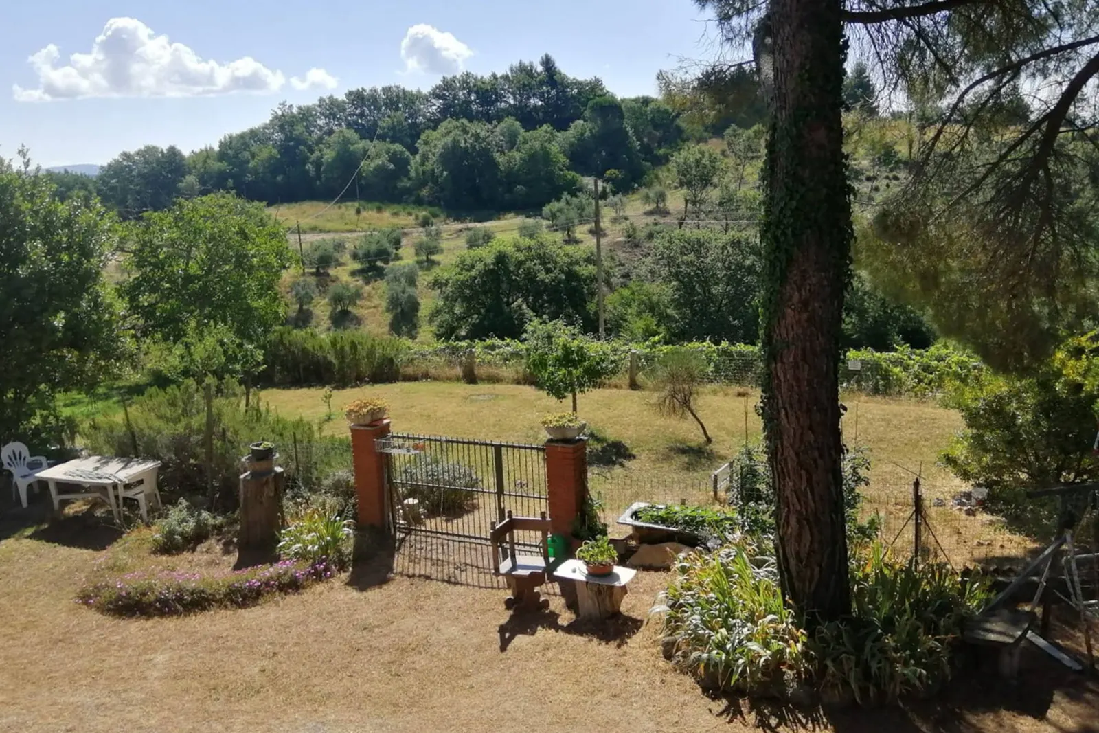 The garden looking out over the hills and vineyards